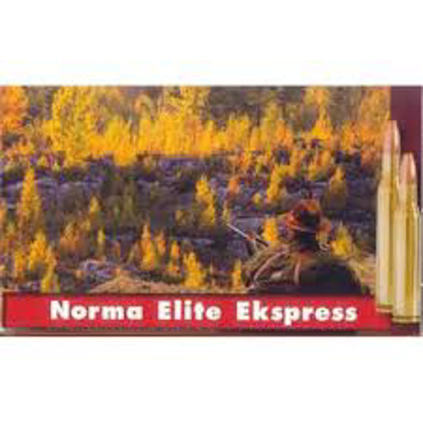 Norma Elite Ekspress 308 W 11,4 Gr