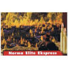 Norma Elite Express 30-06 11,7