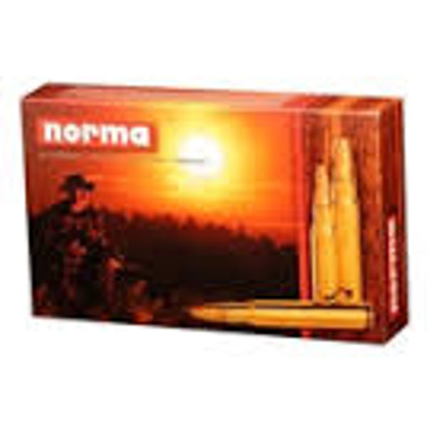 Norma Nosler 30-06 11,7 G/180 Grains