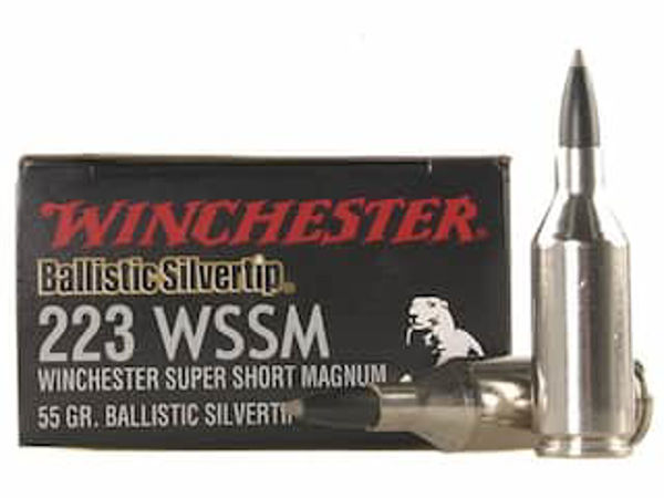 Whinchester 243 WSSM Ballistic Silvertip 55GR